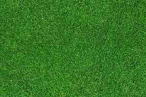 Ковролин ForboFlotex Vision Image 000369 Grass фото  | FLOORDEALER